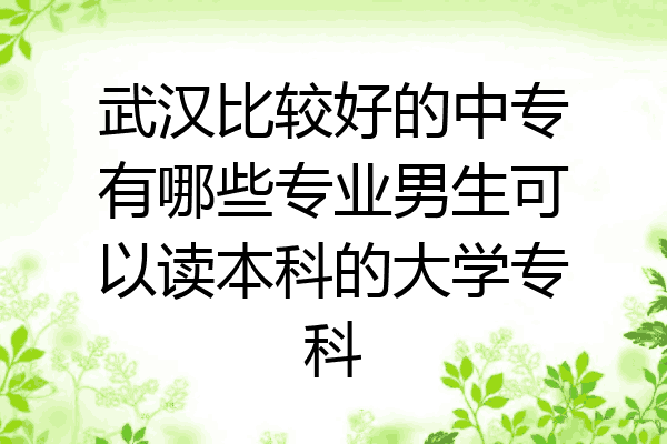 武汉比较好的中专有哪些专业男生可以读本科的大学专科
