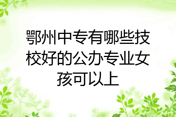 鄂州中专有哪些技校好的公办专业女孩可以上