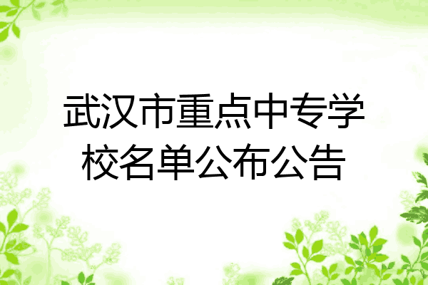 武汉市重点中专学校名单公布公告