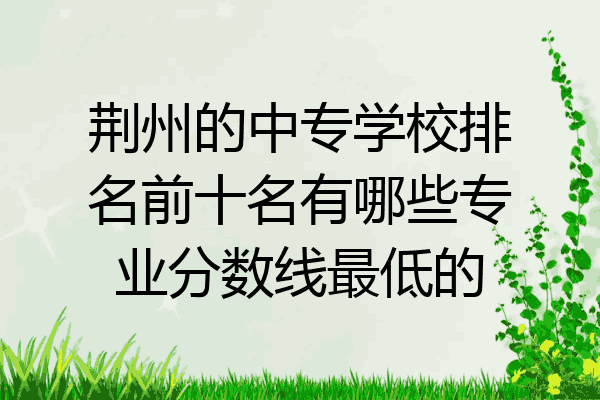 荆州的中专学校排名前十名有哪些专业分数线最低的