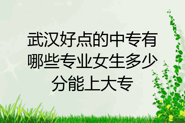 武汉好点的中专有哪些专业女生多少分能上大专