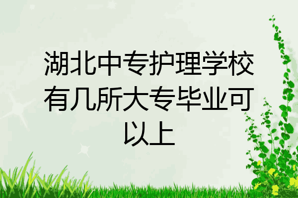 湖北中专护理学校有几所大专毕业可以上