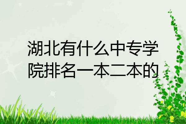 湖北有什么中专学院排名一本二本的