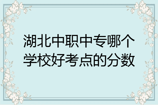 湖北中职中专哪个学校好考点的分数