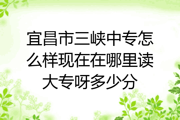 宜昌市三峡中专怎么样现在在哪里读大专呀多少分