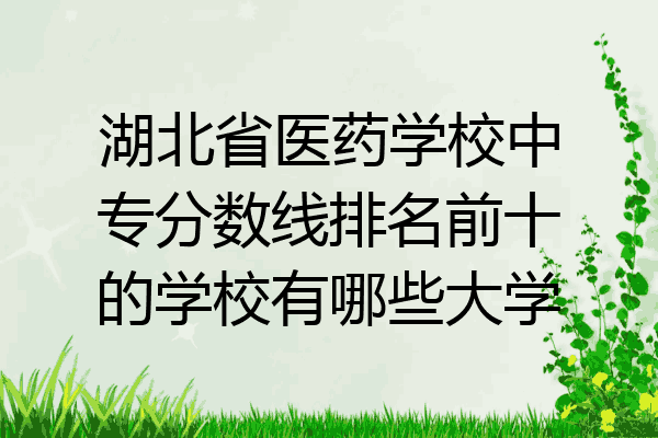 湖北省医药学校中专分数线排名前十的学校有哪些大学