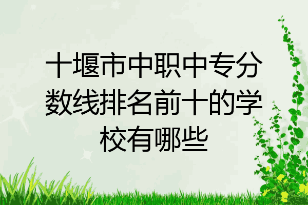 十堰市中职中专分数线排名前十的学校有哪些