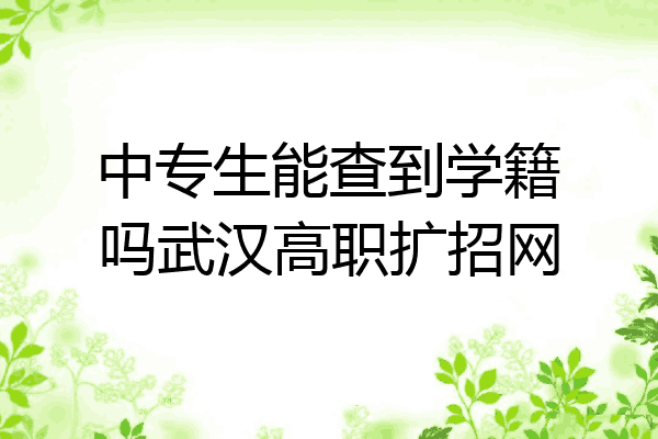 中专生能查到学籍吗武汉高职扩招网