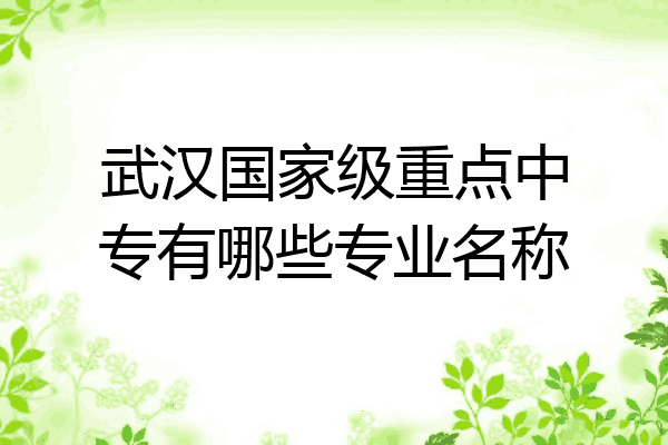 武汉国家级重点中专有哪些专业名称