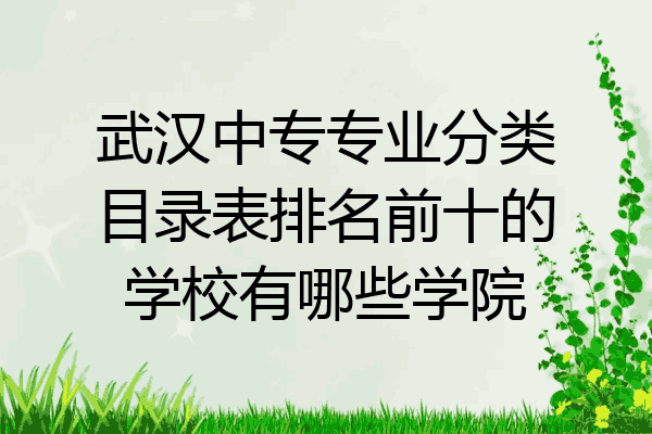 武汉中专专业分类目录表排名前十的学校有哪些学院