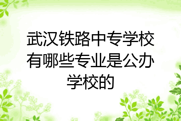 武汉铁路中专学校有哪些专业是公办学校的