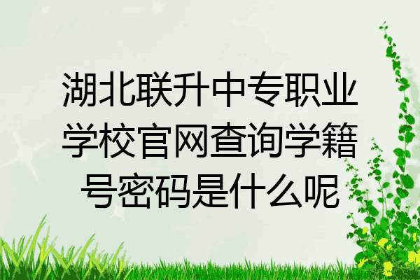 湖北联升中专职业学校官网查询学籍号密码是什么呢