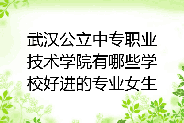 武汉公立中专职业技术学院有哪些学校好进的专业女生