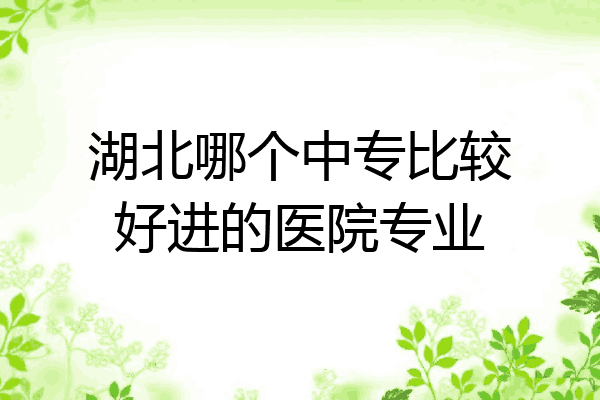 湖北哪个中专比较好进的医院专业