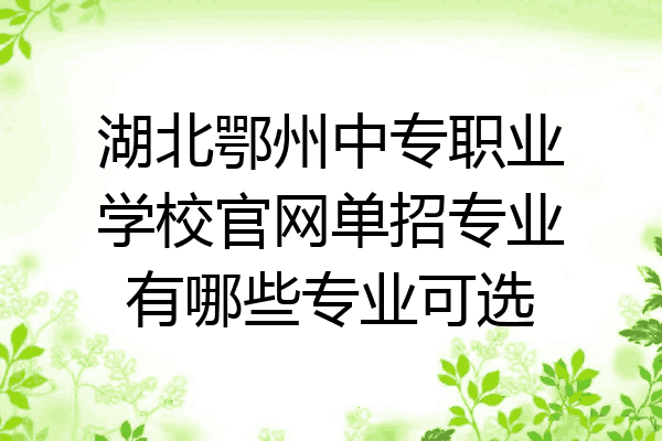 湖北鄂州中专职业学校官网单招专业有哪些专业可选