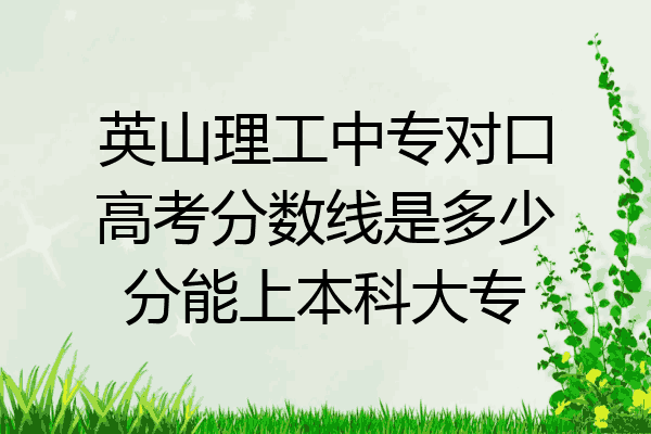 英山理工中专对口高考分数线是多少分能上本科大专