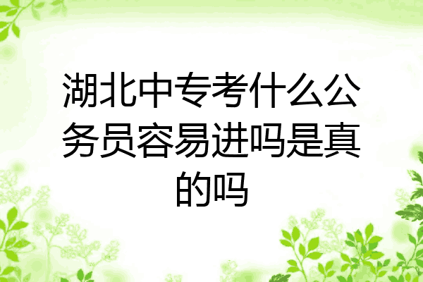 湖北中专考什么公务员容易进吗是真的吗
