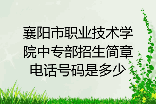 襄阳市职业技术学院中专部招生简章电话号码是多少