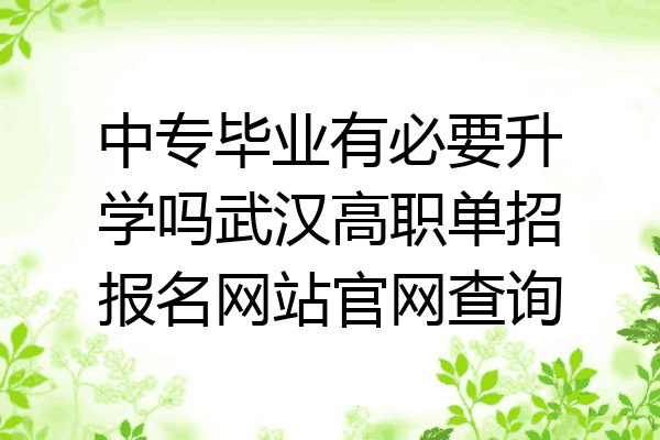 中专毕业有必要升学吗武汉高职单招报名网站官网查询