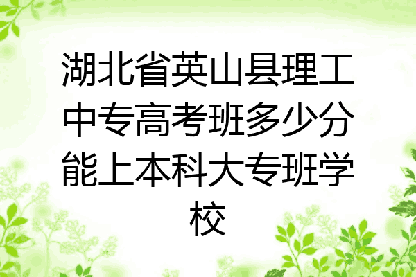 湖北省英山县理工中专高考班多少分能上本科大专班学校