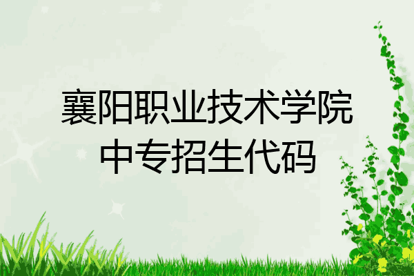 襄阳职业技术学院中专招生代码
