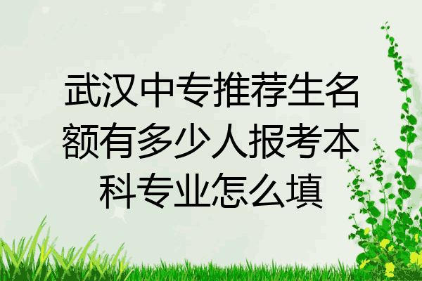 武汉中专推荐生名额有多少人报考本科专业怎么填