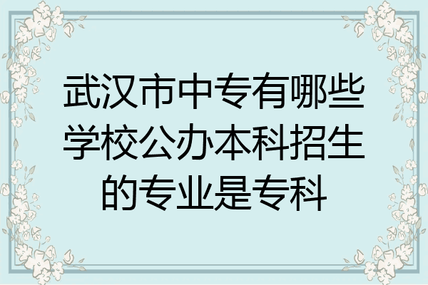 武汉市中专有哪些学校公办本科招生的专业是专科