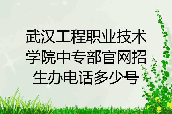 武汉工程职业技术学院中专部官网招生办电话多少号