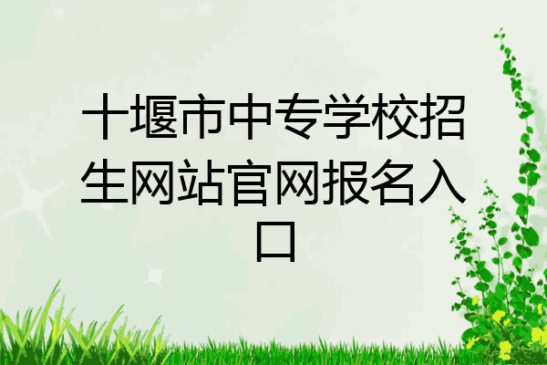 十堰市中专学校招生网站官网报名入口