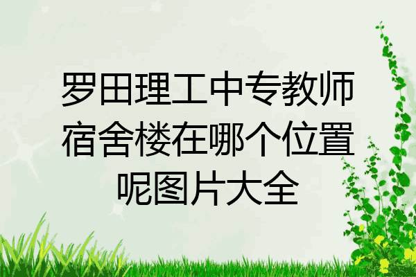 罗田理工中专教师宿舍楼在哪个位置呢图片大全