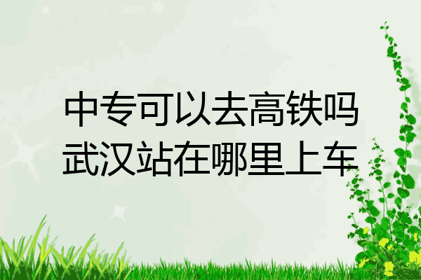 中专可以去高铁吗武汉站在哪里上车