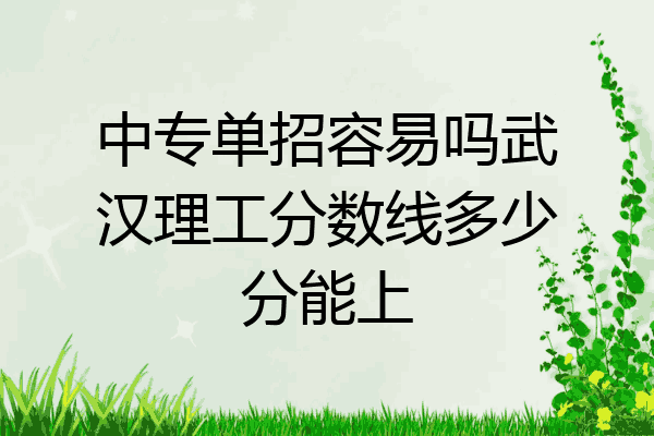 中专单招容易吗武汉理工分数线多少分能上