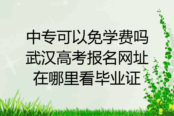 中专可以免学费吗武汉高考报名网址在哪里看毕业证
