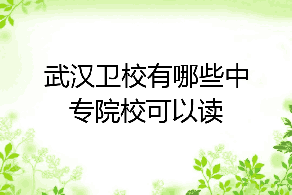 武汉卫校有哪些中专院校可以读