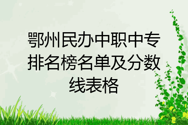 鄂州民办中职中专排名榜名单及分数线表格