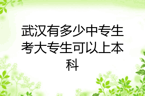 武汉有多少中专生考大专生可以上本科