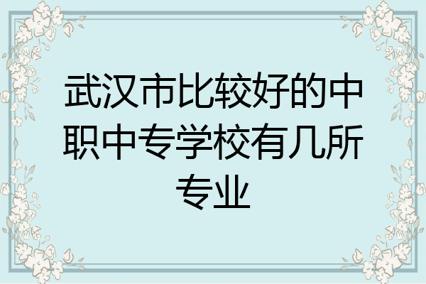 武汉市比较好的中职中专学校有几所专业