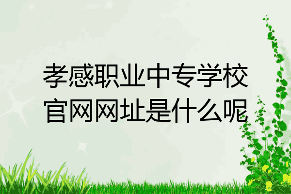 孝感职业中专学校官网网址是什么呢