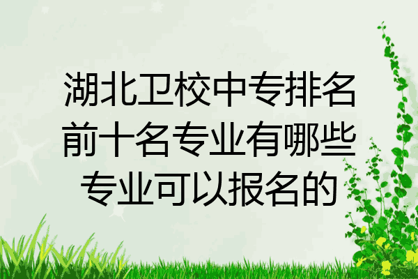 湖北卫校中专排名前十名专业有哪些专业可以报名的