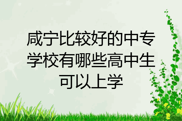 咸宁比较好的中专学校有哪些高中生可以上学