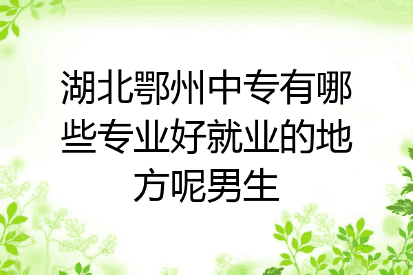 湖北鄂州中专有哪些专业好就业的地方呢男生