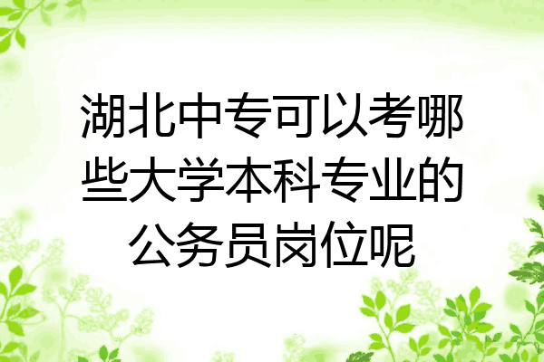 湖北中专可以考哪些大学本科专业的公务员岗位呢