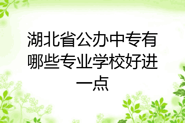 湖北省公办中专有哪些专业学校好进一点