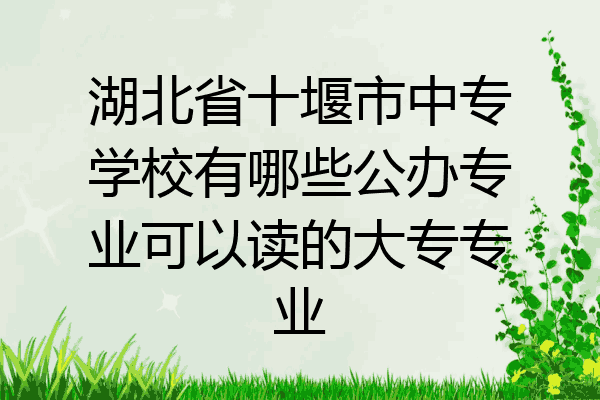 湖北省十堰市中专学校有哪些公办专业可以读的大专专业