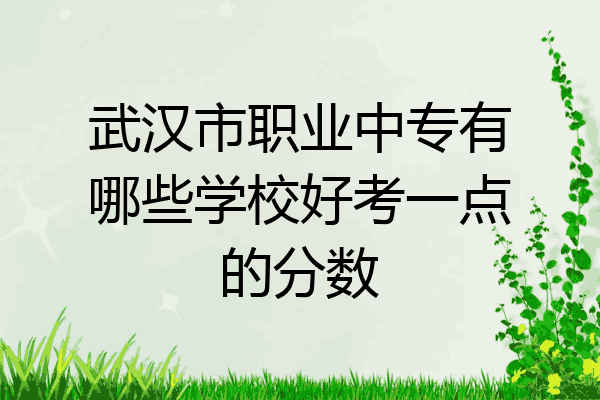 武汉市职业中专有哪些学校好考一点的分数
