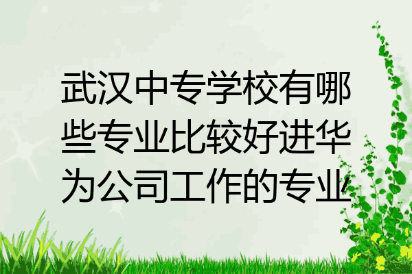 武汉中专学校有哪些专业比较好进华为公司工作的专业