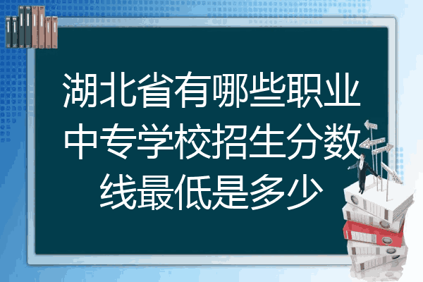 湖北省有哪些职业中专学校招生分数线最低是多少