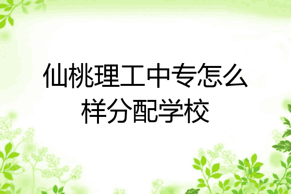 仙桃理工中专怎么样分配学校