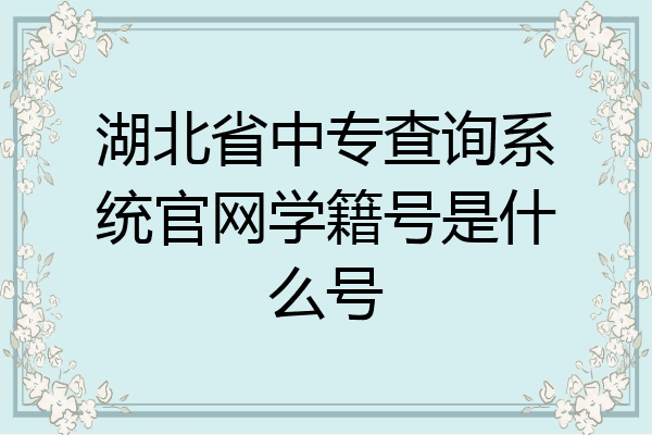 湖北省中专查询系统官网学籍号是什么号