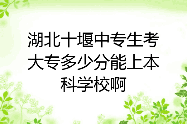 湖北十堰中专生考大专多少分能上本科学校啊